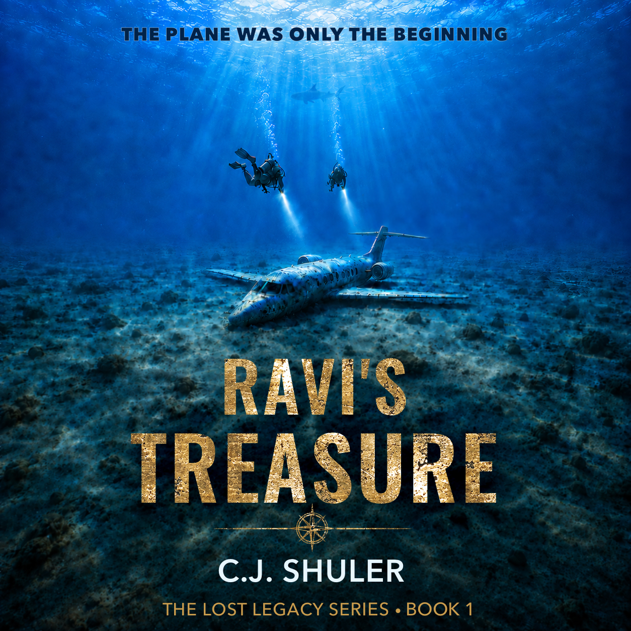 Ravi's Treasure by C. J. Shuler book cover