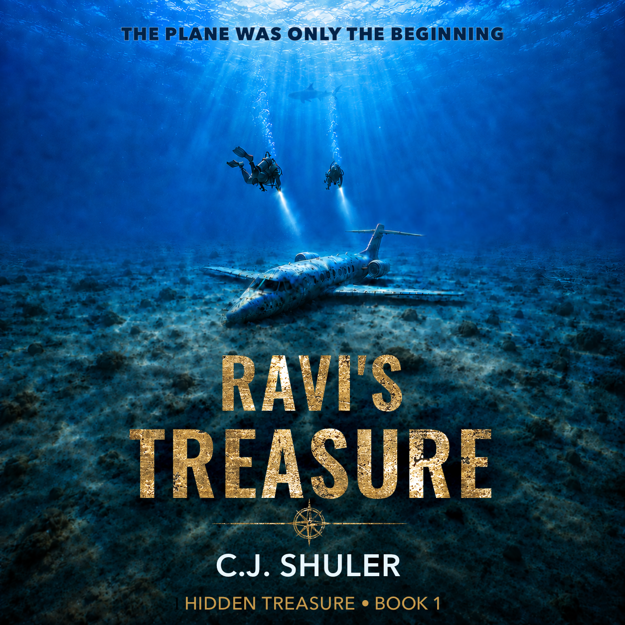 Ravi's Treasure by C. J. Shuler book cover